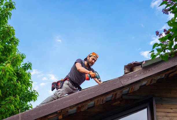 Best Chimney Flashing Repair  in Windsor, CO