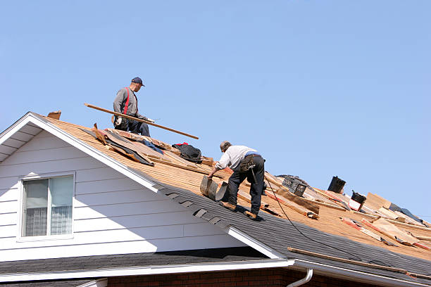 Best Asphalt Shingle Roofing  in Windsor, CO