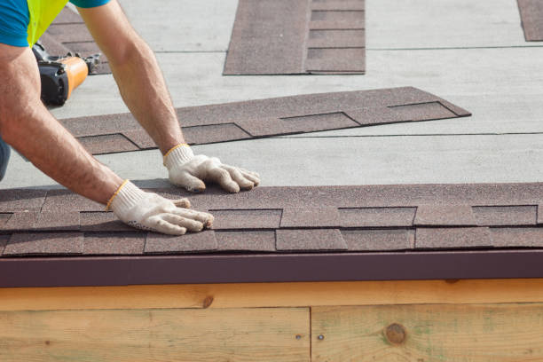 Best Metal Roofing Installation  in Windsor, CO